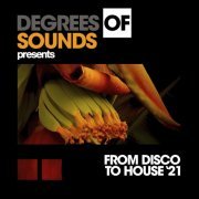 VA - From Disco to House '21 (2021)