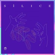 Various Artists - Sílice (Un Compilado de Productores Mujeres Cis, Trans y No Binaries) (2020)