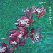 BrhyM, Bruce Hornsby & yMusic - Deep Sea Vents (2024) Hi Res