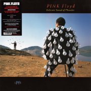 Pink Floyd - Delicate Sound Of Thunder (1988/2017) [Vinyl]