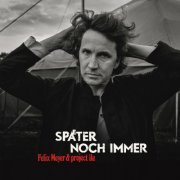 Felix Meyer & project île - Später noch immer (2022) Hi-Res