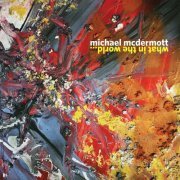 Michael McDermott - What In The World... (2020)
