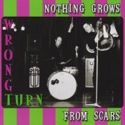 Wrong Turn - Nothing Grows From Scars (2007)