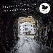 Erlend Apneseth Trio - Det Andre Rommet (2016) [Hi-Res]