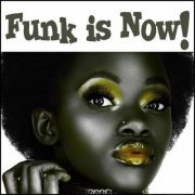VA - Funk Is Now! (2014)