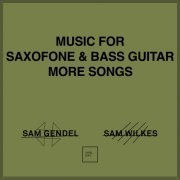 Sam Gendel - Music for Saxofone & Bass Guitar More Songs (2021)