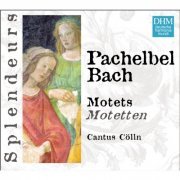 Cantus Cölln - Pachelbel, Bach: Motets (1994)