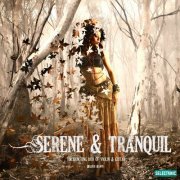 Mauro Rawn - Serene & Tranquil: Enchanting Duo of Violin & Guitar (2020)