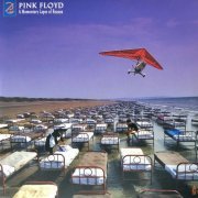 Pink Floyd - A Momentary Lapse Of Reason (Remixed & Updated) (2021 Reissue, Remastered) LP