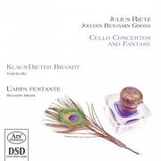 Klaus-Dieter Brandt - Rietz & Gross: Cello Concertos & Fantasy (2014)