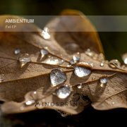 Ambientium - Fall (2014)