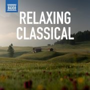 Klara Kormendi, Jenő Jandó, Boris Giltburg, Idil Biret, Philip Thomson, Duo Sonidos - Relaxing Classical (2023)