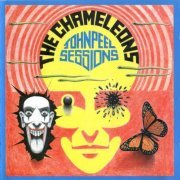 The Chameleons - John Peel Session (1990)