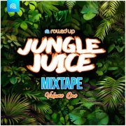 VA - Jungle Juice Mixtape, Vol 1 (2024)