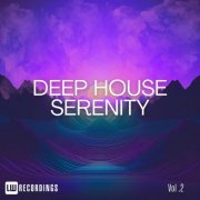 VA - Deep House Serenity, Vol. 02 (2024) FLAC
