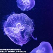 Duke Montrose - neon tumbleweeds (2021)