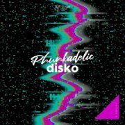 VA - Phunkadelic Disko, Vol. 9 (2024)