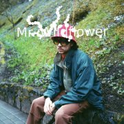 Mac MacLaren - Mr. Wildflower (2024)