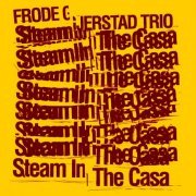 Frode Gjerstad Trio - Steam In The Casa (2016)