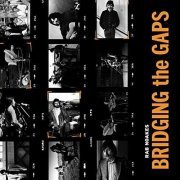 Rab Noakes - Bridging the Gaps (2017)