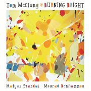 Tom McClung Trio - Burning Bright (2015) [Hi-Res]