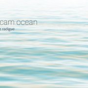 Carol Robinson, Julia Eckhardt and Rhodri Davies - Occam Ocean I (2018) [Hi-Res]