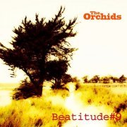 The Orchids - Beatitude #9 (2014)