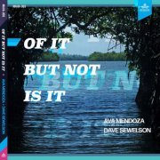 Ava Mendoza & Dave Sewelson - Of It But Not Is It (2024)