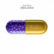 Josh King - Feel Good (2021)