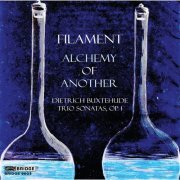 Filament - Alchemy of Another (2024) [Hi-Res]