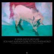 A Hawk And A Hacksaw - You Have Already Gone to the Other World (2013)