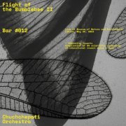Chuchchepati Orchestra - Flight of the Bumblebee II (2024) [Hi-Res]
