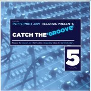 Peppemint Jam Records Pres., Catch the Groove, Vol. 5 (2014)