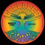 VA - Genetic Funk Remix Dubs (2023)