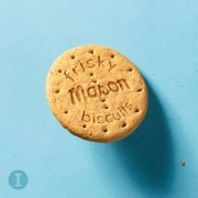 Mason - Frisky Biscuits (2020) [Hi-Res]