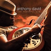 Anthony David - The Powerful Now (2016) [Hi-Res]
