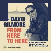 David Gilmore - From Here to Here (2020) CD-Rip