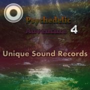 Various Artists - Psychedelic Adventure 4 (2017) FLAC