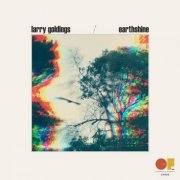 Larry Goldings - Earthshine (2021)