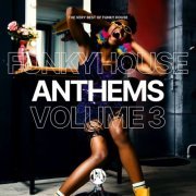 VA - Funky House Anthems, Vol. 3 (2022)