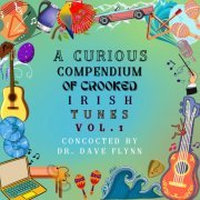 Dave Flynn - A Curious Compendium of Crooked Irish Tunes (VOL. 1) (2023)
