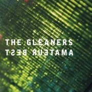 Amateur Best - The Gleaners (2015)