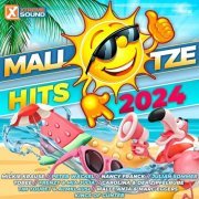 VA - Mallotze Hits 2024 (2024) Hi-Res