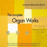 Eric Lebrun - J.S. Bach: The complete organ works, vol. 6, preludes and fugues (2023)