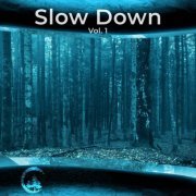 VA - Slow Down Vol 1 (2024)