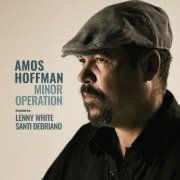 Amos Hoffman - Minor Operation (2024) [Hi-Res]