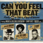VA - Can You Feel That Beat: Funk 45s And Other Rare Grooves (2016) Lossless