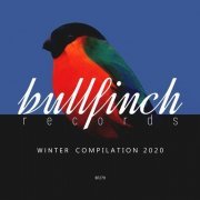 VA - Bullfinch Winter 2020 Compilation (2020)