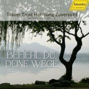 Various Artists - Befiehl du deine wege (Remastered 2023) (2024)