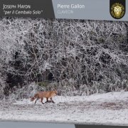Pierre Gallon - Joseph Haydn: Per il cembalo solo (2018) [Hi-Res]